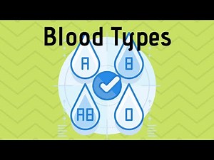 Blood Types in Simple Terms