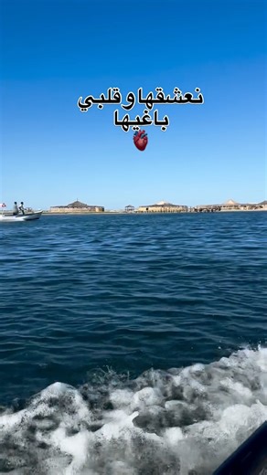 Instagram video by Djerba • Feb 4, 2026 at 12:34 PM