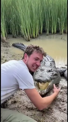 Man Kisses Giant Crocodile You Won't Believe What Happens! 🐊😱