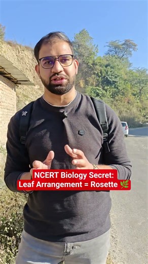 Real Plant Example of Rosette Leaf Arrangement 🔍#RosetteLeafArrangement #LeafArrangement #Phyllotaxy