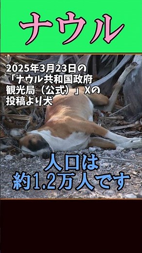 ナウルについて気にナウル、ナウル共和国を紹介！