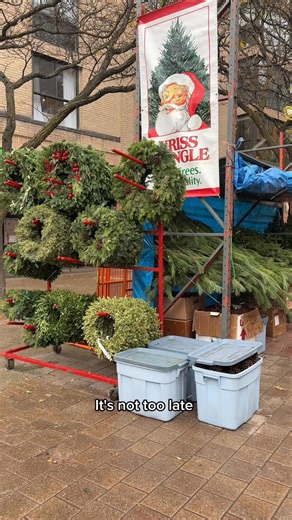 🎄Celebrating the 50th season of Christmas trees at the St. Lawrence Market!🎄 Whether you’re searching for the perfect classic fir or a tree with tons of character, Jeff the Tree Guy is here to help you find the perfect one for your home. 🌟 🌲 Tree Lot Details: 📍 Located at Market Lane Park on Front St, right next to the North Market site 📅 Nov 27 – Dec 24 ⏰ Daily: 11 AM – 6 PM ⏳ Thursdays & Fridays: Open until 7 PM Stop by, pick your perfect tree, and take home a little piece of holiday mag
