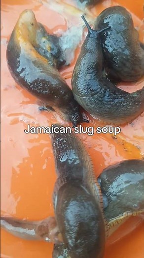 Have You Ever Had Slug Soup 🇯🇲 | Caribbean Cooking #jamaicanfood #recipe