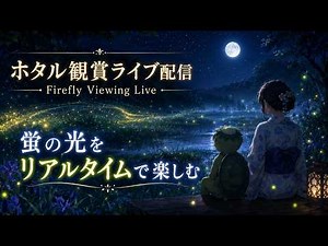 【LIVE・6月5日(金)】ホタル観賞ライブ / Firefly Night Live｜東京あきる野市・静かな夜に舞う蛍の光