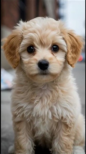 “He Stayed When Everyone Walked Away”