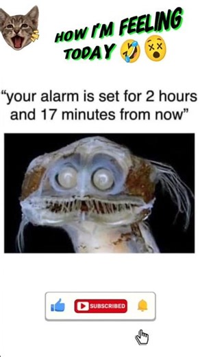 How I'm feeling today 🤣😵