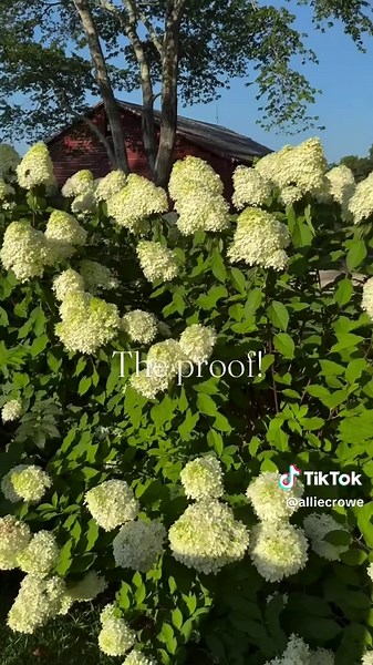 Transform Your Backyard: 2021-2025 Makeover Ideas