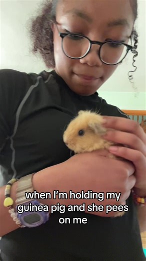 Caring for Guinea Pigs: Building Trust and Bonds