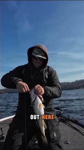 Sniped em 🎯 ‪@daynekfishing‬ talks about his live scoping set up for a jig and minnow