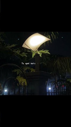 Pal ~ Arijit Singh 💙💖 || #LyricsVideo #TrendingSong #ViralShorts #LyricalVideo #LoveSong #Hindisong