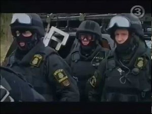Efterlyst Special om den Nationella Insatsstyrkan (NI)