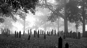 THE FUNERAL PARTY Lyrics - CURE | eLyrics.net