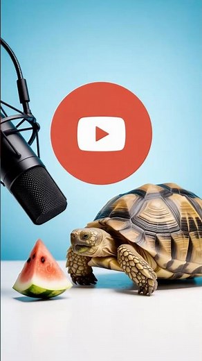 ASMR | Tortoise Eating Watermelon 🍉🐢 | Relaxing Crunch Sounds #shorts