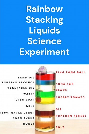 Liquid Layers! 🌈Rainbow Stacking Liquids Science Experiment #science #experiment #physics #fun