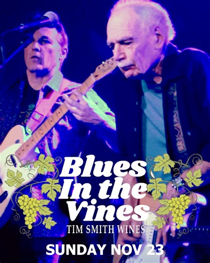 369 reactions · 57 shares | Dave Hole — Australia’s king of slide guitar — headlines Blues in the Vines!  With Frank Sultana, & The Honey Badgers · Sun Nov 23 · Barossa Valley  An unforgettable Sunday of world-class blues, wine and sunshine. ☀️ | Dave Hole | Facebook