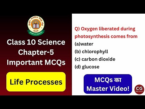 Class 10 Life Processes MCQs – 100% Exam-Based Questions You Can’t Miss!