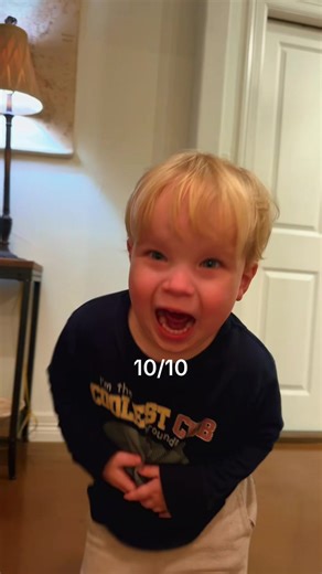 Understanding Toddler Development Stages