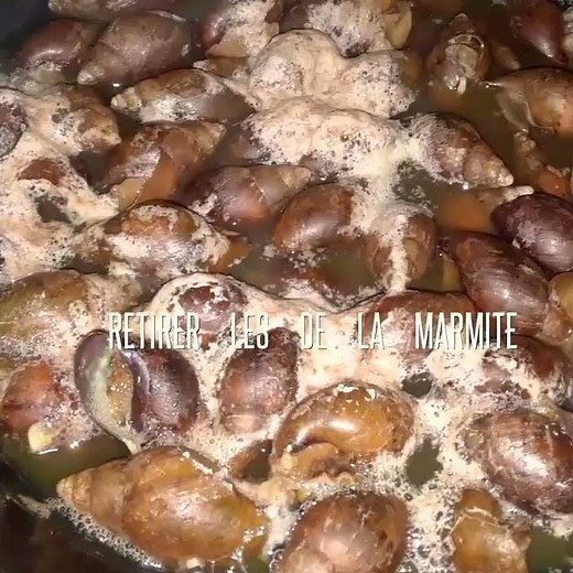 Comment nettoyer les escargots 🙈💝