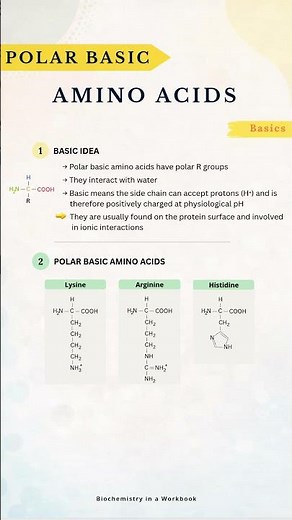 Have you ever wondered why some amino acids are positively charged? #biochemistry #aminoacids