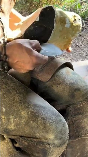 Removing a stunning flake from a large nodule of flint, using quartzite hammerstone #flintknapping