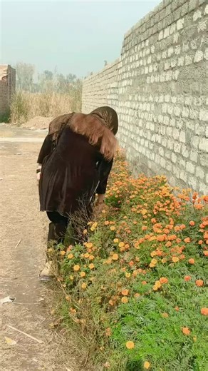 c c c c c (@cccccccc.985)’s videos with original sound - c c c c c