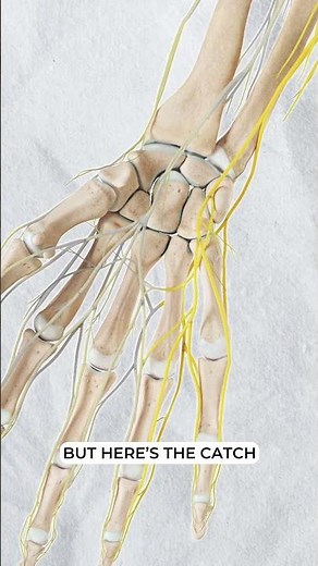 How It Works: Guyon’s Canal Syndrome