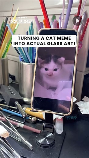 This is NOT your average cat meme 👀 | Awesome Videos