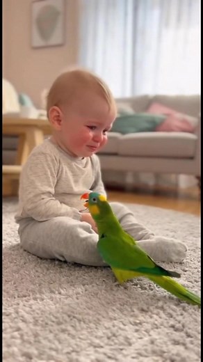 parrot makes baby laugh 🤩 #parrot #babyandparrot #BabyAndParrotMoments #ParrotAndBabyVibes #CuteLittleTalks #BabyAndParrotLife #SweetBabyAndParrot | Baby & Parrot