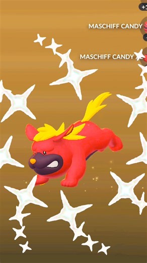 Finally! Shiny Maschiff Egg Hatch in Pokémon GO! #pokemongo #gaming