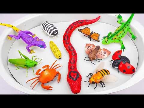 20 Minutes Satisfying with Unboxing ZURU Robo Alive Insects ASMR 🦎 Red Anaconda, Crocodile, Scopion