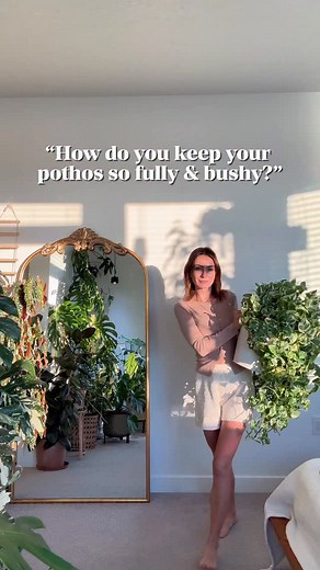 39K views · 4.3K reactions | Where do your plants get their light: top, side, or… wherever there’s room?  One of my most asked questions! Light ON TOP, not just the side  it’s a quick adjustment that makes a huge difference. This is my @soltech aspect light & I’ve been using them for years - they work great. (Code MARIAHGROWS15) Should I do a full video on my lighting setup next?  | MariahGrows | Facebook