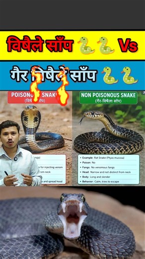 Difference between poisnous and Non-poisnous snake 😱|#shorts #viral #shortvideo