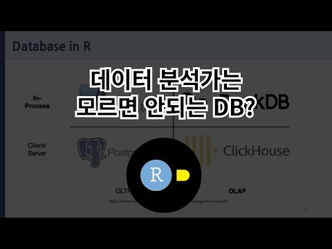 데이터 분석가는 모르면 안되는 DB, Duck DB에 대하여 알아보자!