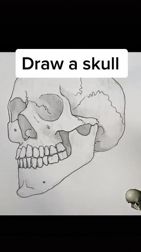 Step-by-Step Realistic Skull Drawing Tutorial
