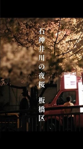 【石神井川・板橋区】地元で見つけた夜桜｜石神井川の桜並木をゆっくり歩く【風景写真を撮りに】