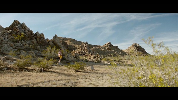 Palm Springs Reviews - Metacritic