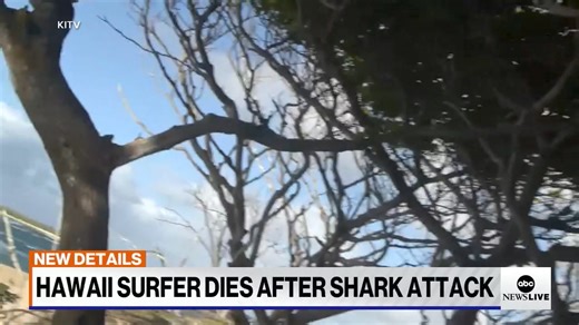 25K views · 200 reactions | A well-known surfer and lifeguard was killed in a shark attack near the North Shore of Oahu, Hawaii, emergency officials say. ABC News' Selina Wang reports. Read more: https://trib.al/0JzAcTC | ABC News Live | Facebook