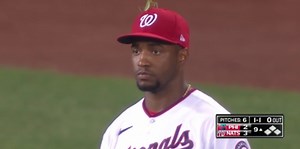 Meet the Nats' newest center fielder: A bug