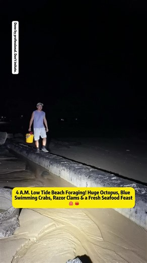 4 A.M. Low Tide Beach Foraging! Huge Octopus, Blue Swimming Crabs, Razor Clams & a Fresh Seafood Feast 🐙🦀 #beachlife #foraginglife #seafoodhunting #marinelife #tidepooling