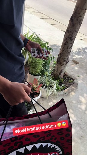 Fb:Jeffer son នៅលើ TikTok