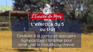 Le 5 - Cessions à la jambe et appuyers - Une gymnastique complète pour améliorer la mobilité du cheval Dans cette vidéo extraite de notre programme "Stretching et déplacements latéraux", Hervé Maurel vous propose un exercice aussi simple qu’efficace pour : - améliorer la souplesse, - l’équilibre - et la réactivité de votre cheval 👉 enchaîner cessions à la jambe, appuyer et changements de pli sans rupture de rythme. L’objectif est clair : - conserver une cadence régulière et décontractée, - visu