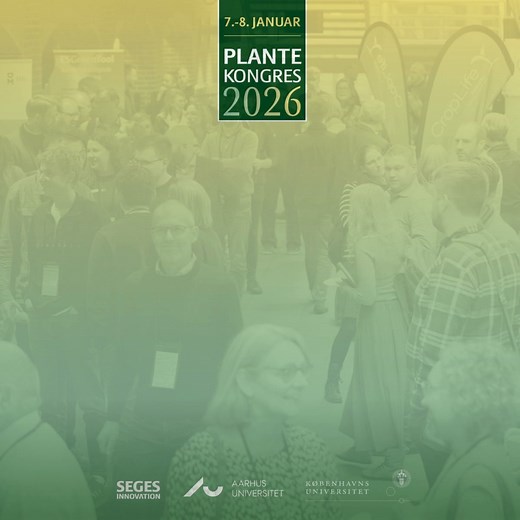 🌱 Har du set de store temaer til dette års Plantekongres? Programmet for Plantekongres 2026 er fyldt med aktuelle emner, der klæder dig godt på til den nye sæson. Du kan blandt andet blive klogere på kvælstof, plantebeskyttelse uden PFAS og arealomlægning 🔍 Lyder det ikke bare spændende? Tilmeld dig allerede i dag, og glæd dig til to dage med faglighed, fællesskab og godt humør. | SEGES i marken