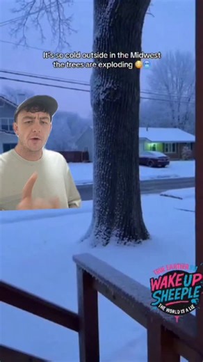 Jack Maclean | Trees literally exploding across the U.S. because of extreme cold temperatures. People are hearing bangs like gunshots in the night. This... | Instagram