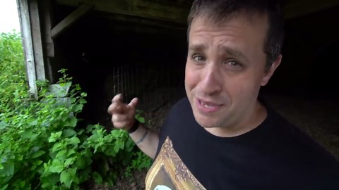 Introducing a colorful new flock of chickens to the established barnyard