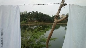 small Indian Laundry on river Bank. white sheets dried on barbed wire against wind