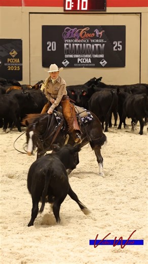 Vegas is closing the book on the Open Derby Second Go today. Morgan and Karen Brody's Cash For Candids are back after laying down a 221 in the First Go. 🎥 Video West Productions •••• #morgancromercuttinghorses #teamcromer #crranchwear #iconoclastboots #kimesranchjeans #RunningHorseFeeds #cuttinupshowblankets #harlandfeeds #McAllisterassets #diamondwoolpads #platinumperformance #haychix | Morgan Cromer Cutting Horses