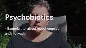 Psychobiotics