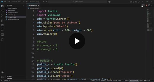 Building Pong with Python: Loops and Game Logic | Shubham Raj posted on the topic | LinkedIn