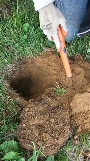 Short #192 - Surprise Button, Metal Detecting with the Nokta Makro Simplex. #metaldetecting