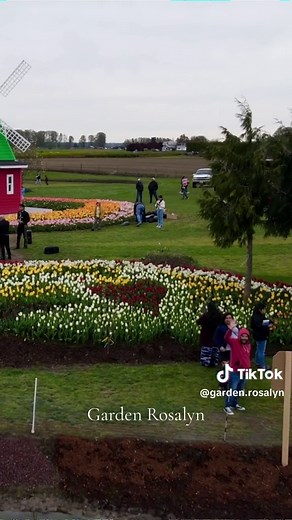 Skagit Valley Tulip Festival at Mount Vernon, Washington